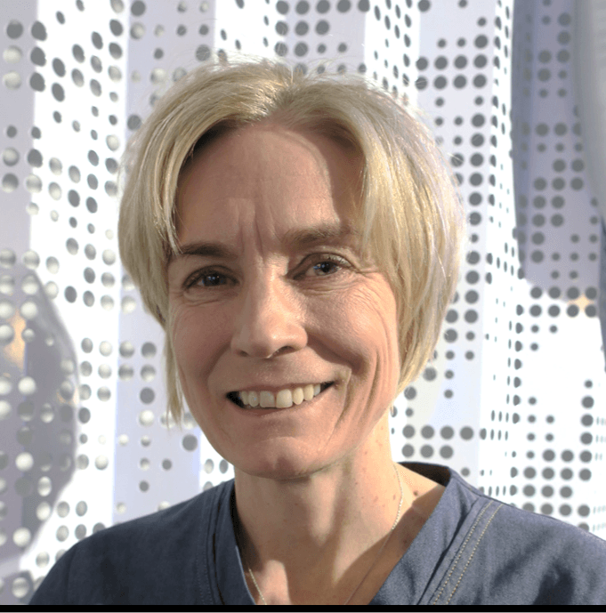 Hanna Hokkanen — Pihlajalinna