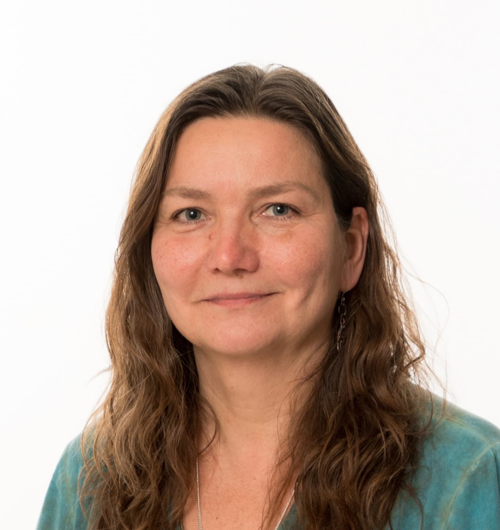 Anumari Siltapuro — Pihlajalinna