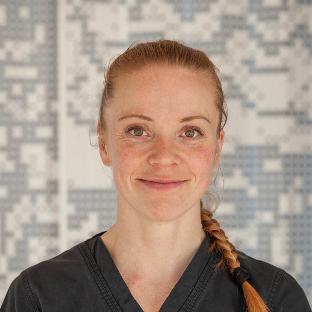 Anna-Kaisa Sivonen — Pihlajalinna